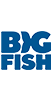 BIgFish